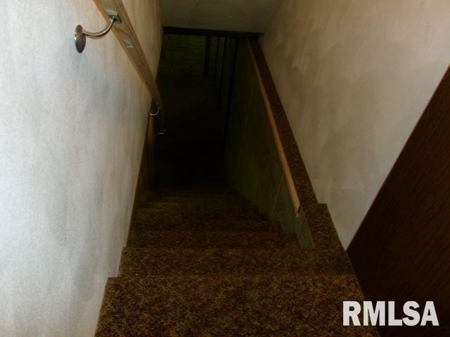 102 N Park Ave, Manito, IL 61546 - stairs with carpet flooring