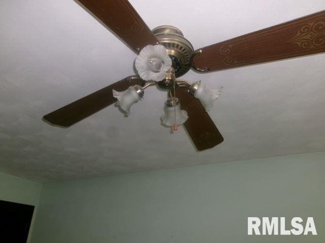 102 N Park Ave, Manito, IL 61546 - detailed view
