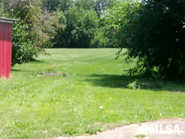 102 N Park Ave, Manito, IL 61546 - view of green lawn