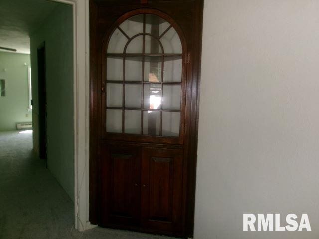 102 N Park Ave, Manito, IL 61546 - corridor featuring carpet flooring