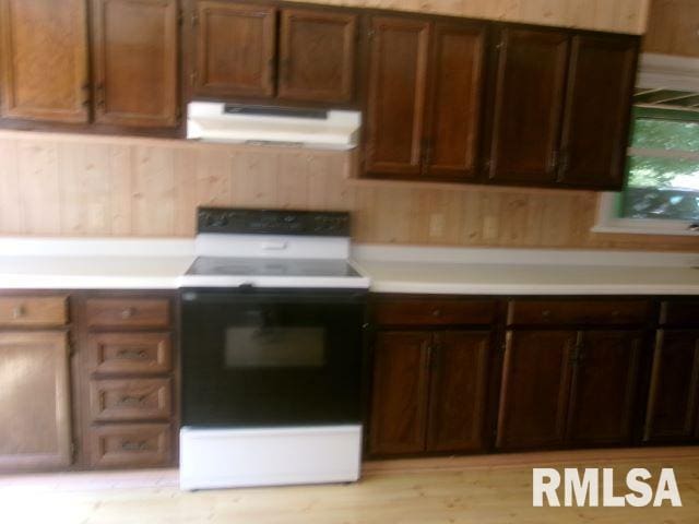 102 N Park Ave, Manito, IL 61546 - kitchen featuring exhaust hood, electric stove, and light countertops