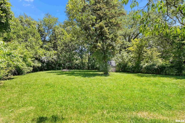 1726 N Pierson Dr, West Peoria, IL 61604 - view of green lawn featuring a storage shed