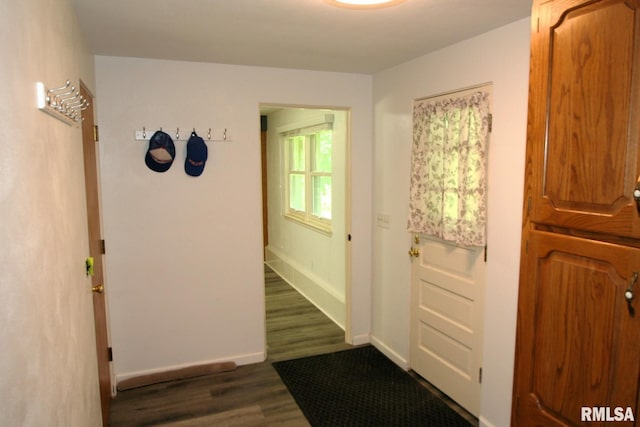 29724 Allentown Rd, Mackinaw, IL 61755 - foyer featuring dark wood-style floors and baseboards