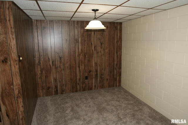 29724 Allentown Rd, Mackinaw, IL 61755 - unfurnished room with concrete block wall, a drop ceiling, wood walls, and carpet flooring
