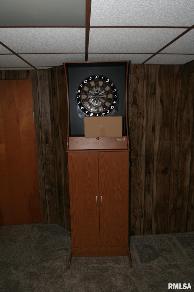 29724 Allentown Rd, Mackinaw, IL 61755 - detailed view of carpet floors and wooden walls