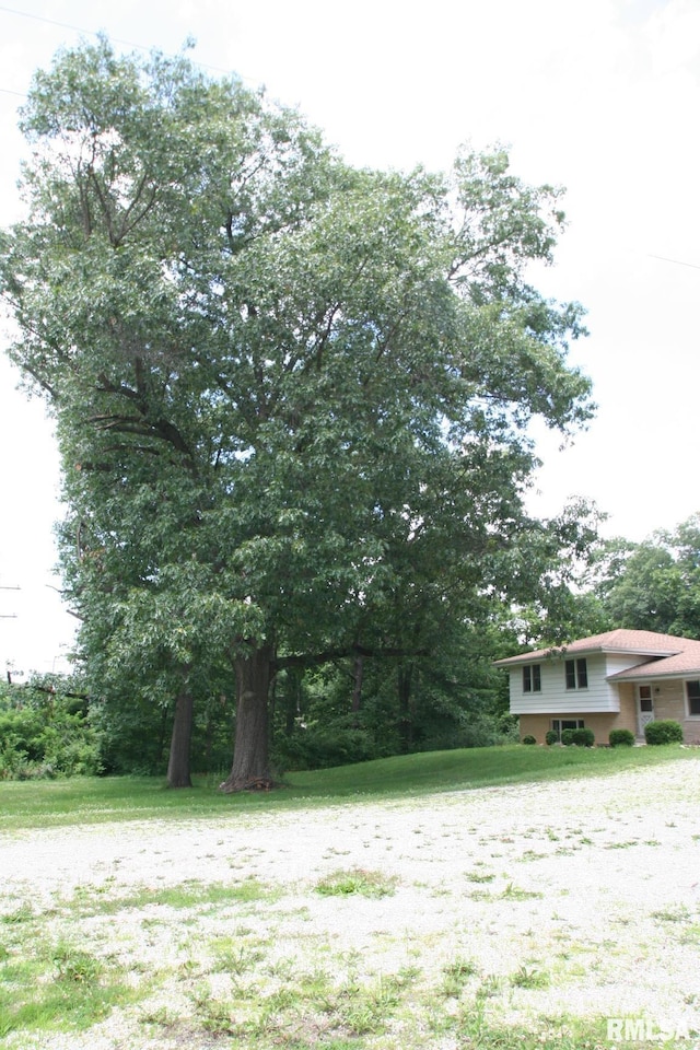 29724 Allentown Rd, Mackinaw, IL 61755 - view of yard