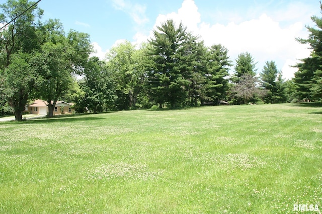 29724 Allentown Rd, Mackinaw, IL 61755 - view of yard