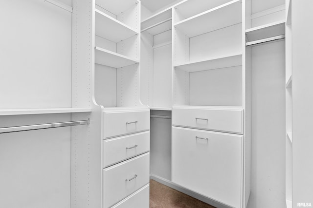 4851 Sheridan Rd, Groveland, IL 61535 - view of walk in closet