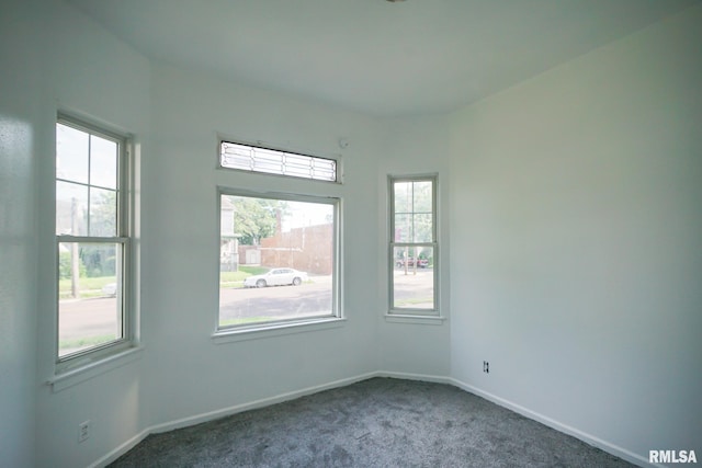 1107 E Frye Ave, Peoria, IL 61603 - carpeted empty room with healthy amount of natural light