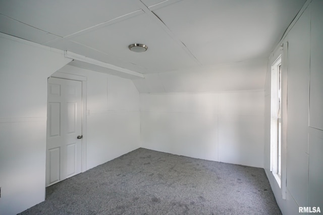 1107 E Frye Ave, Peoria, IL 61603 - bonus room featuring carpet floors