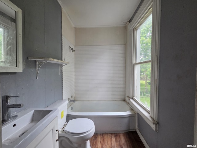 2011 N Bigelow St, Peoria, IL 61604 - bathroom with a bathtub, healthy amount of natural light, wood finished floors, and vanity