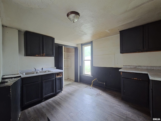 2011 N Bigelow St, Peoria, IL 61604 - kitchen featuring a textured ceiling, light wood-style floors, dark cabinetry, and light countertops
