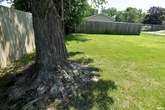 3711 W Creighton Ter, Peoria, IL 61615 - photo 32