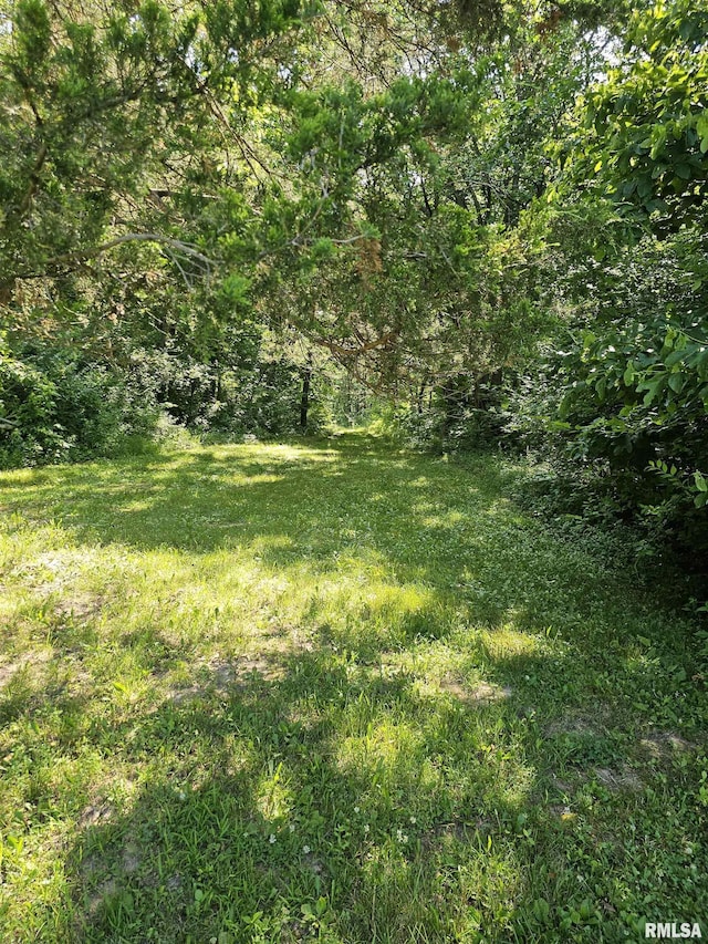 2116 N Prichard Rd, Peoria, IL 61615 - photo 13