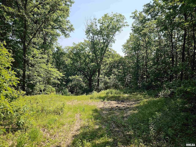 2116 N Prichard Rd, Peoria, IL 61615 - photo 14