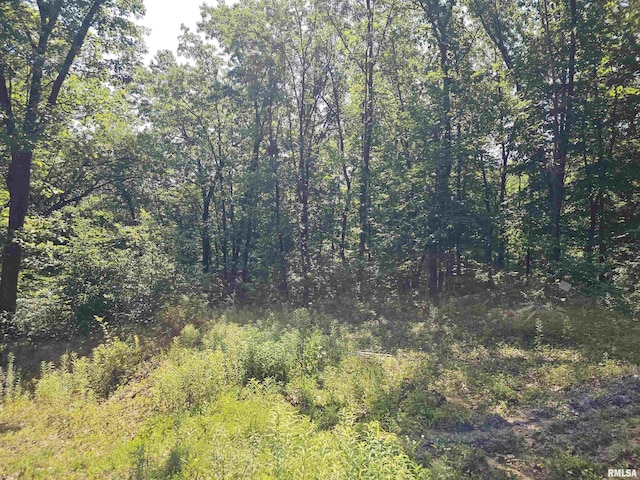 2116 N Prichard Rd, Peoria, IL 61615 - photo 18