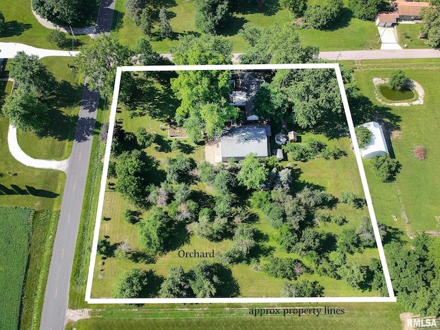 105 W C St, Delavan, IL 61734 - photo 56