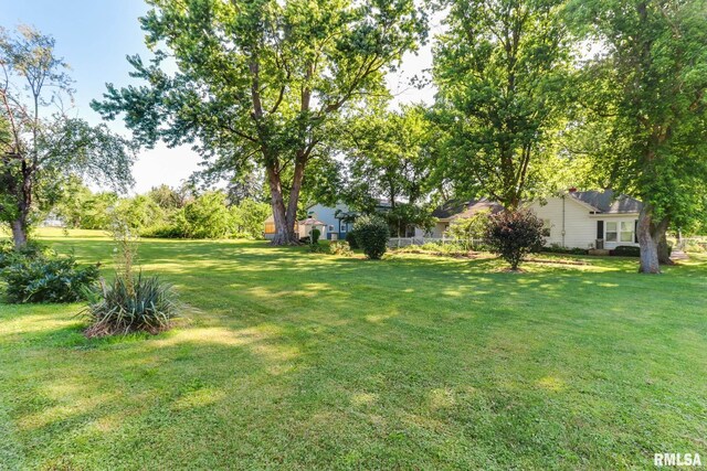 105 W C St, Delavan, IL 61734 - photo 67