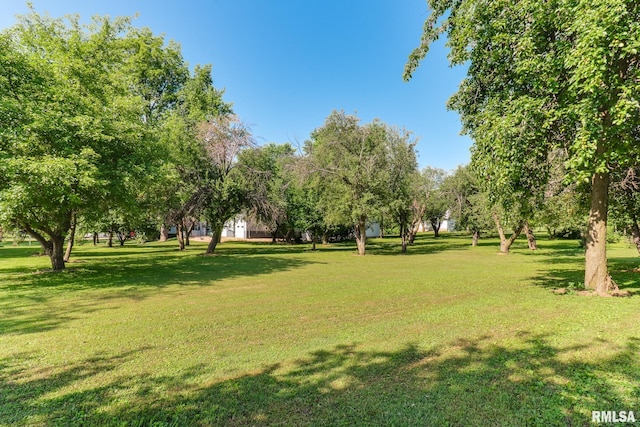 105 W C St, Delavan, IL 61734 - photo 73
