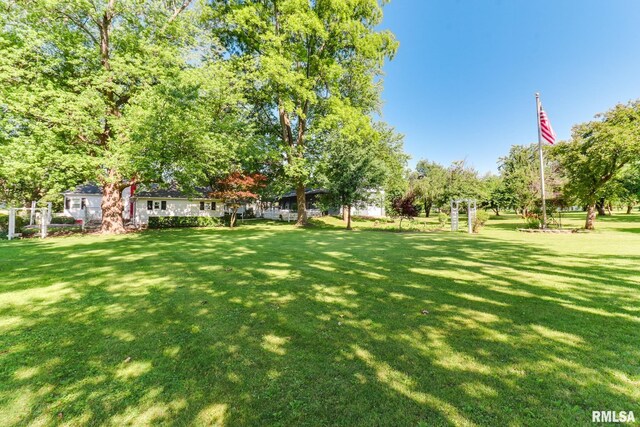 105 W C St, Delavan, IL 61734 - photo 75