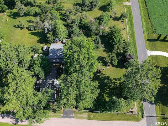 105 W C St, Delavan, IL 61734 - photo 77