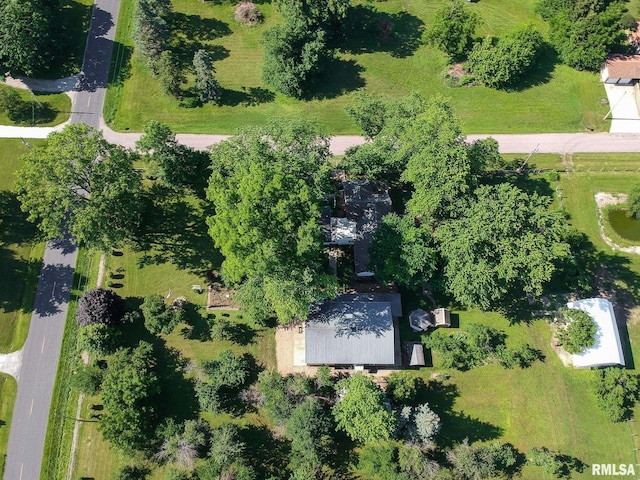 105 W C St, Delavan, IL 61734 - photo 78