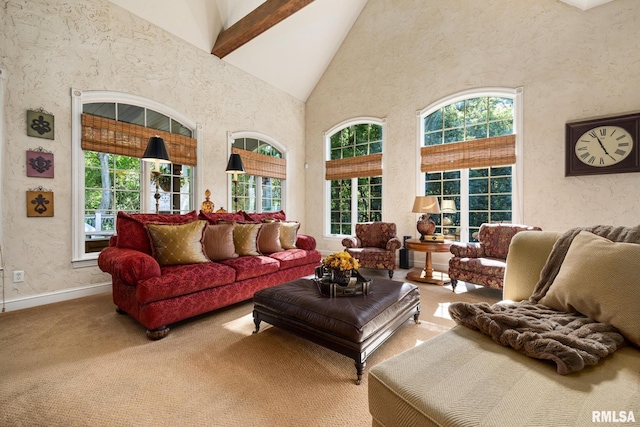 2204 W Pinnacle Dr, Dunlap, IL 61525 - living area with high vaulted ceiling, carpet floors, beam ceiling, and a textured wall