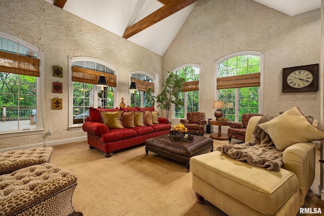 2204 W Pinnacle Dr, Dunlap, IL 61525 - carpeted living area with high vaulted ceiling and beam ceiling