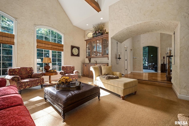 2204 W Pinnacle Dr, Dunlap, IL 61525 - living area featuring arched walkways, high vaulted ceiling, carpet, and beam ceiling