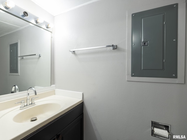 3119 W Willow Knolls Rd Unit 37B, Peoria, IL 61614 - bathroom with electric panel and vanity