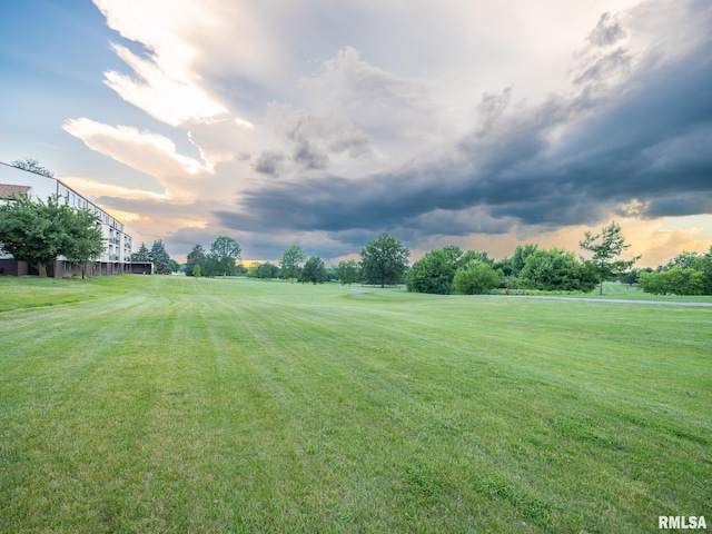 3119 W Willow Knolls Rd Unit 37B, Peoria, IL 61614 - view of grassy yard