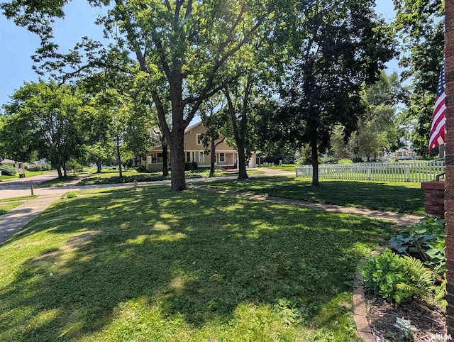 1101 S 4th St, Pekin, IL 61554 - view of yard