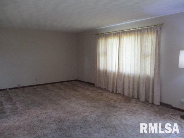 1265 Spring Bay Rd, East Peoria, IL 61611 - carpeted empty room with baseboards