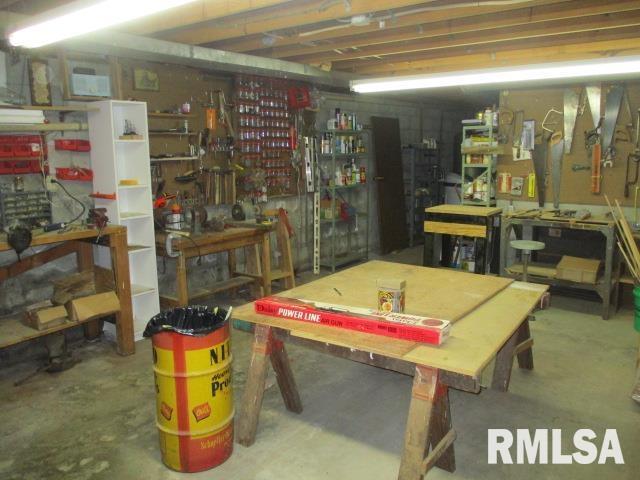 1265 Spring Bay Rd, East Peoria, IL 61611 - below grade area featuring a workshop area