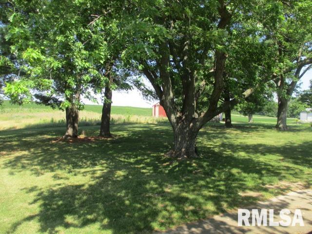 1265 Spring Bay Rd, East Peoria, IL 61611 - view of grassy yard