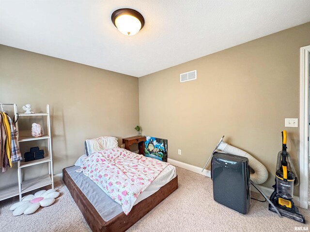 6414 W Hazel Nut Dr, Edwards, IL 61528 - photo 41