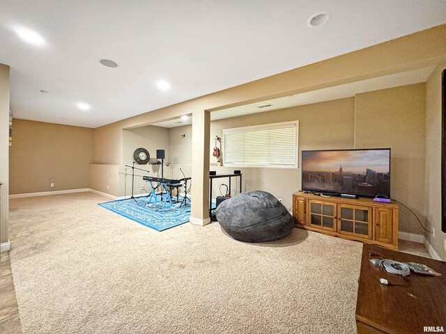 6414 W Hazel Nut Dr, Edwards, IL 61528 - photo 49