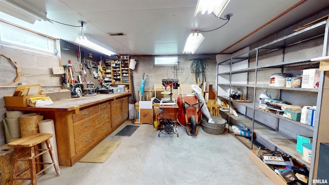 1729 W Willow Wood Dr, Peoria, IL 61614 - basement featuring a workshop area, healthy amount of natural light, and concrete block wall