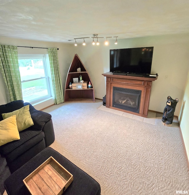 1515 Lakeview Rd N, Dahinda, IL 61428 - carpeted living room featuring rail lighting and a glass covered fireplace