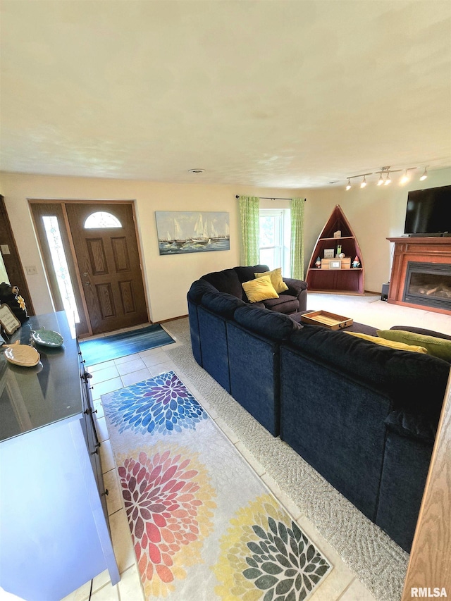 1515 Lakeview Rd N, Dahinda, IL 61428 - tiled living room featuring rail lighting and a fireplace