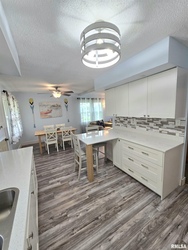 1515 Lakeview Rd N, Dahinda, IL 61428 - kitchen with a textured ceiling, dark wood-style flooring, white cabinetry, light countertops, and ceiling fan