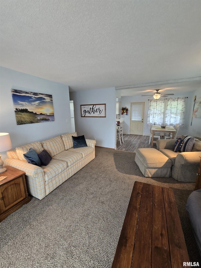 1515 Lakeview Rd N, Dahinda, IL 61428 - carpeted living room with a textured ceiling and ceiling fan