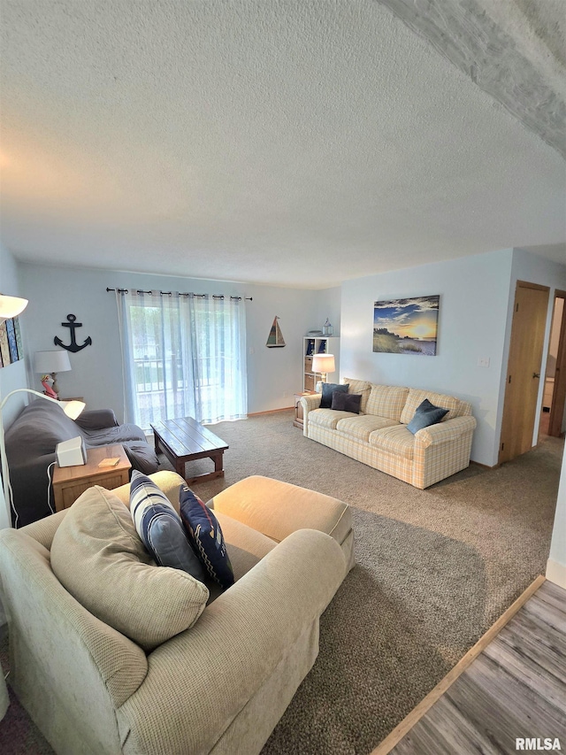 1515 Lakeview Rd N, Dahinda, IL 61428 - living area featuring wood finished floors and a textured ceiling