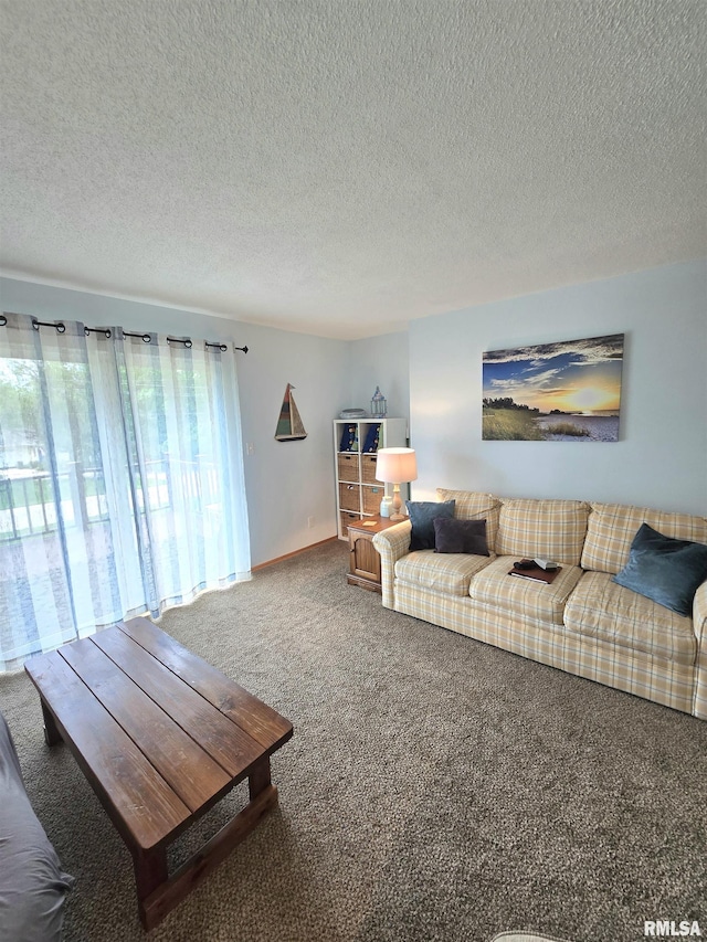 1515 Lakeview Rd N, Dahinda, IL 61428 - carpeted living area with baseboards and a textured ceiling