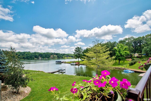 478 Greenfield Ct, Dahinda, IL 61428 - photo 44