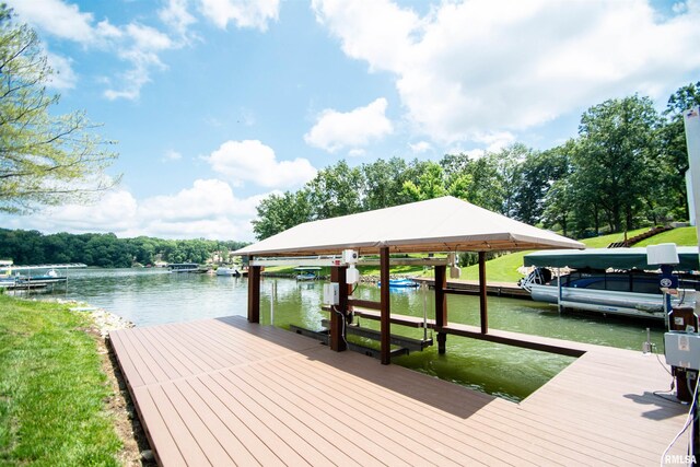 478 Greenfield Ct, Dahinda, IL 61428 - photo 66