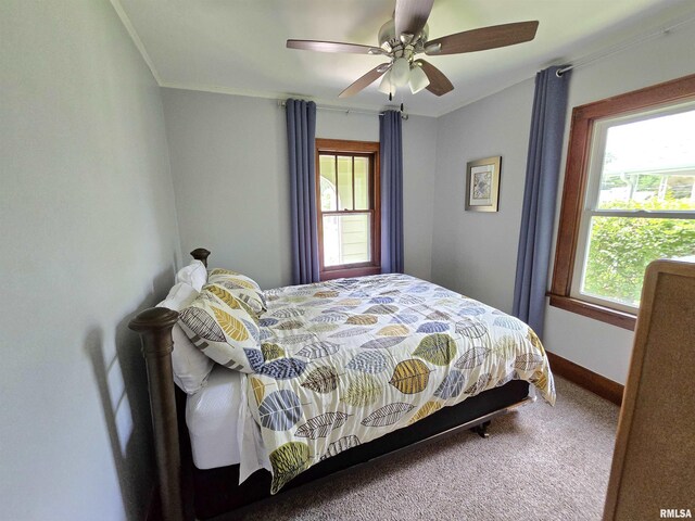 1107 E Hines Ave, Peoria Heights, IL 61616 - photo 12