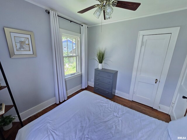 1107 E Hines Ave, Peoria Heights, IL 61616 - photo 10