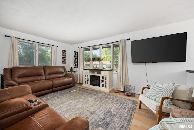 114 Julian Ave, East Peoria, IL 61611 - living room with plenty of natural light, light wood-type flooring, and a fireplace