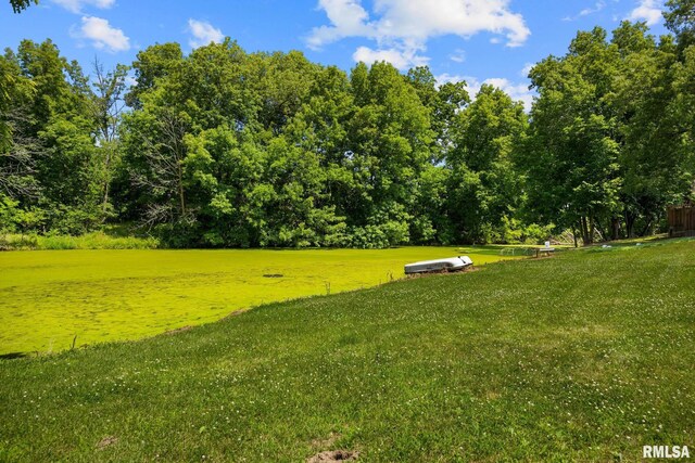 22475 N Main St, Morton, IL 61550 - view of green lawn